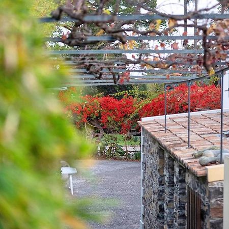 Ourmadeira - Loja Da Lenha, Charming Lejlighed Funchal  Eksteriør billede