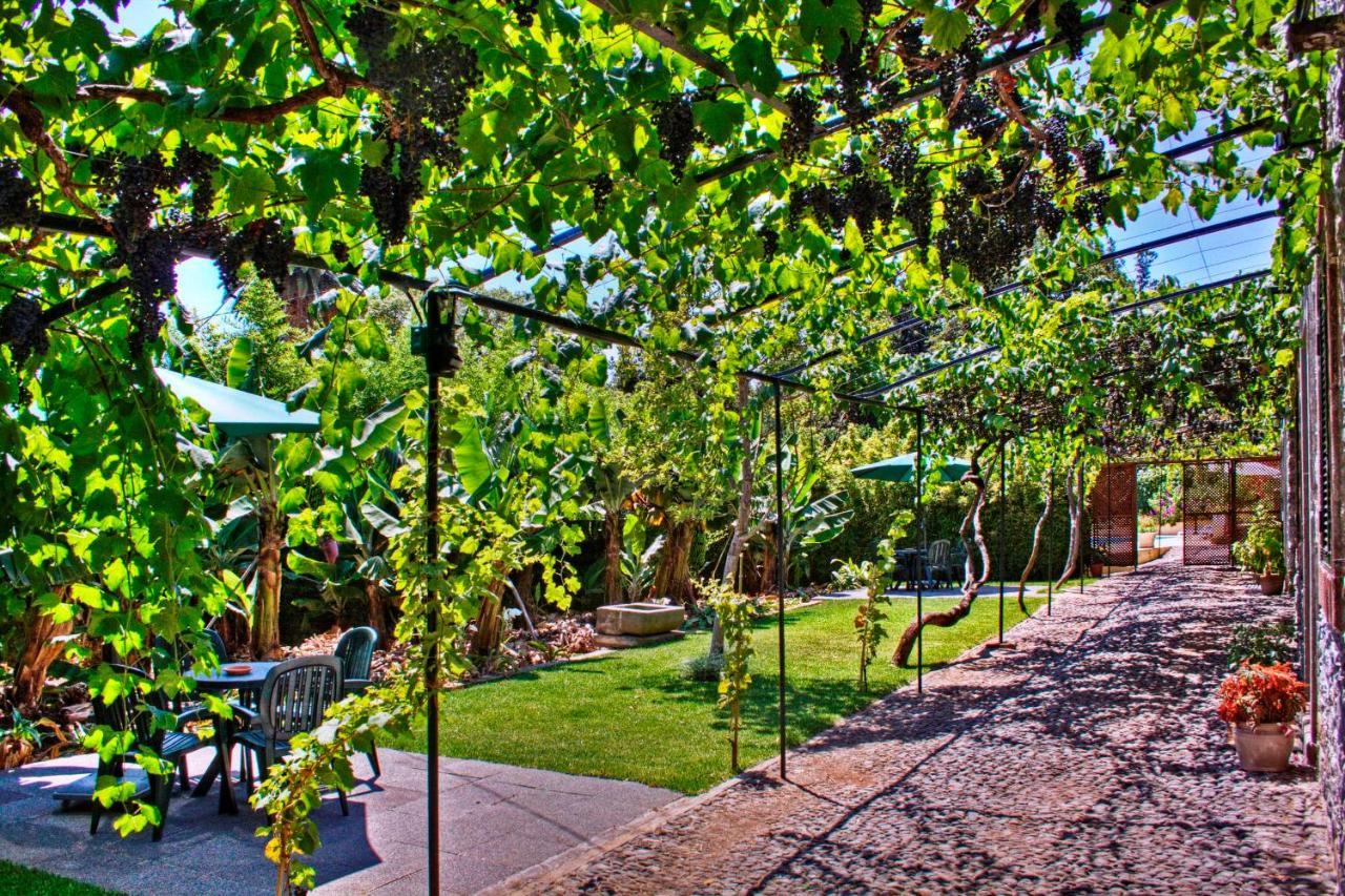 Ourmadeira - Loja Da Lenha, Charming Lejlighed Funchal  Eksteriør billede