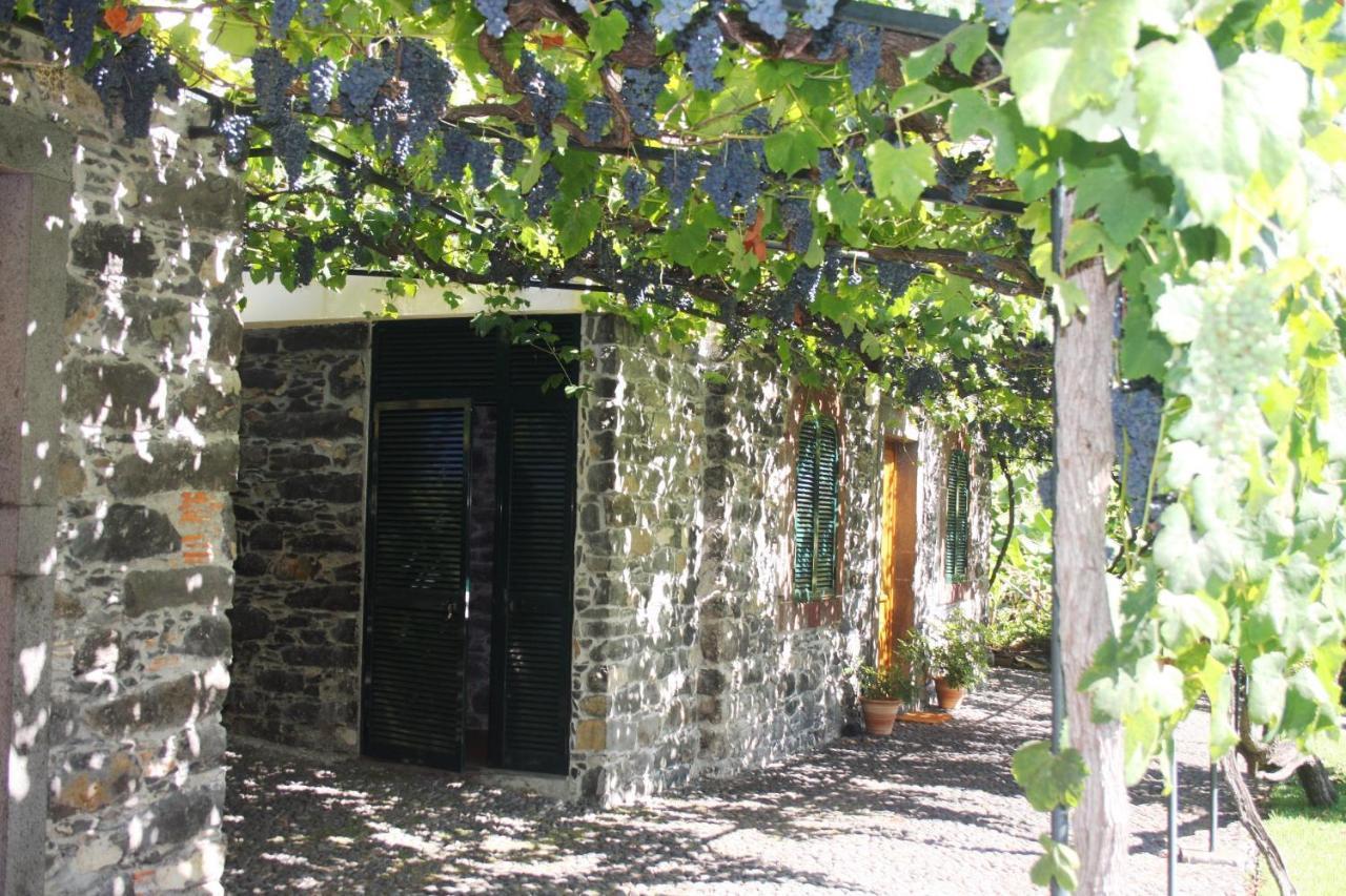 Ourmadeira - Loja Da Lenha, Charming Lejlighed Funchal  Eksteriør billede